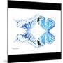 Miss Butterfly Duo Xugenutia Sq - X-Ray B&W Edition-Philippe Hugonnard-Mounted Photographic Print