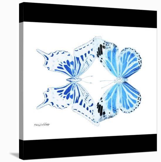 Miss Butterfly Duo Xugenutia Sq - X-Ray B&W Edition-Philippe Hugonnard-Stretched Canvas