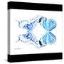 Miss Butterfly Duo Xugenutia Sq - X-Ray B&W Edition-Philippe Hugonnard-Stretched Canvas