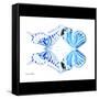 Miss Butterfly Duo Xugenutia Sq - X-Ray B&W Edition-Philippe Hugonnard-Framed Stretched Canvas