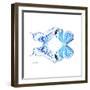 Miss Butterfly Duo Xugenutia Sq - X-Ray White Edition-Philippe Hugonnard-Framed Photographic Print