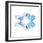 Miss Butterfly Duo Xugenutia Sq - X-Ray White Edition-Philippe Hugonnard-Framed Photographic Print