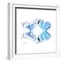 Miss Butterfly Duo Xugenutia Sq - X-Ray White Edition-Philippe Hugonnard-Framed Photographic Print