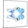 Miss Butterfly Duo Xugenutia Sq - X-Ray White Edition-Philippe Hugonnard-Mounted Photographic Print