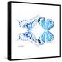 Miss Butterfly Duo Xugenutia Sq - X-Ray White Edition-Philippe Hugonnard-Framed Stretched Canvas