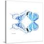 Miss Butterfly Duo Xugenutia Sq - X-Ray White Edition-Philippe Hugonnard-Stretched Canvas
