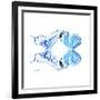 Miss Butterfly Duo Xugenutia Sq - X-Ray White Edition-Philippe Hugonnard-Framed Photographic Print