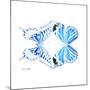 Miss Butterfly Duo Xugenutia Sq - X-Ray White Edition-Philippe Hugonnard-Mounted Photographic Print