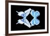 Miss Butterfly Duo Xugenutia - X-Ray Black Edition-Philippe Hugonnard-Framed Photographic Print