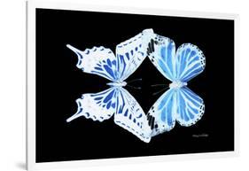 Miss Butterfly Duo Xugenutia - X-Ray Black Edition-Philippe Hugonnard-Framed Photographic Print