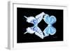 Miss Butterfly Duo Xugenutia - X-Ray Black Edition-Philippe Hugonnard-Framed Photographic Print