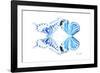 Miss Butterfly Duo Xugenutia - X-Ray White Edition-Philippe Hugonnard-Framed Photographic Print