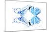 Miss Butterfly Duo Xugenutia - X-Ray White Edition-Philippe Hugonnard-Mounted Photographic Print