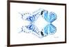 Miss Butterfly Duo Xugenutia - X-Ray White Edition-Philippe Hugonnard-Framed Photographic Print