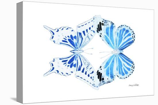 Miss Butterfly Duo Xugenutia - X-Ray White Edition-Philippe Hugonnard-Stretched Canvas