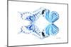 Miss Butterfly Duo Xugenutia - X-Ray White Edition-Philippe Hugonnard-Mounted Photographic Print