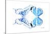 Miss Butterfly Duo Xugenutia - X-Ray White Edition-Philippe Hugonnard-Stretched Canvas