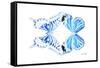 Miss Butterfly Duo Xugenutia - X-Ray White Edition-Philippe Hugonnard-Framed Stretched Canvas