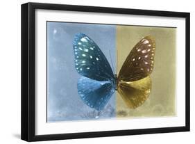 Miss Butterfly Euploea - Blue & Gold-Philippe Hugonnard-Framed Photographic Print