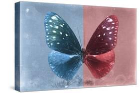 Miss Butterfly Euploea - Blue & Red-Philippe Hugonnard-Stretched Canvas