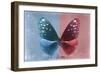 Miss Butterfly Euploea - Blue & Red-Philippe Hugonnard-Framed Photographic Print