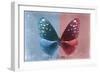 Miss Butterfly Euploea - Blue & Red-Philippe Hugonnard-Framed Photographic Print