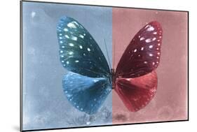Miss Butterfly Euploea - Blue & Red-Philippe Hugonnard-Mounted Photographic Print