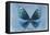 Miss Butterfly Euploea - Blue-Philippe Hugonnard-Framed Stretched Canvas