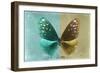 Miss Butterfly Euploea - Coral Green & Gold-Philippe Hugonnard-Framed Photographic Print