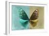 Miss Butterfly Euploea - Coral Green & Gold-Philippe Hugonnard-Framed Photographic Print