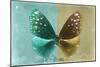 Miss Butterfly Euploea - Coral Green & Gold-Philippe Hugonnard-Mounted Photographic Print