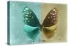 Miss Butterfly Euploea - Coral Green & Gold-Philippe Hugonnard-Stretched Canvas