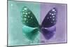 Miss Butterfly Euploea - Coral Green & Purple-Philippe Hugonnard-Mounted Photographic Print