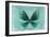 Miss Butterfly Euploea - Coral Green-Philippe Hugonnard-Framed Photographic Print