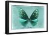 Miss Butterfly Euploea - Coral Green-Philippe Hugonnard-Framed Photographic Print