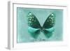 Miss Butterfly Euploea - Coral Green-Philippe Hugonnard-Framed Photographic Print