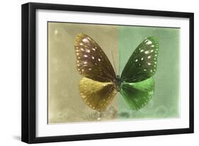 Miss Butterfly Euploea - Gold & Green-Philippe Hugonnard-Framed Photographic Print