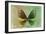 Miss Butterfly Euploea - Gold & Green-Philippe Hugonnard-Framed Photographic Print