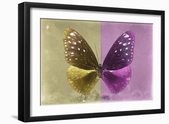 Miss Butterfly Euploea - Gold & Hot Pink-Philippe Hugonnard-Framed Photographic Print