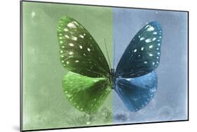 Miss Butterfly Euploea - Green & Blue-Philippe Hugonnard-Mounted Photographic Print