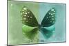 Miss Butterfly Euploea - Green & Coral Green-Philippe Hugonnard-Mounted Photographic Print