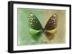 Miss Butterfly Euploea - Green & Gold-Philippe Hugonnard-Framed Photographic Print