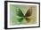 Miss Butterfly Euploea - Green & Gold-Philippe Hugonnard-Framed Photographic Print
