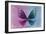 Miss Butterfly Euploea - Hot Pink & Blue-Philippe Hugonnard-Framed Photographic Print