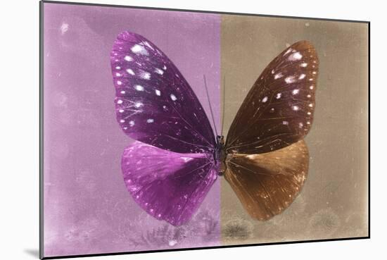 Miss Butterfly Euploea - Hot Pink & Caramel-Philippe Hugonnard-Mounted Photographic Print