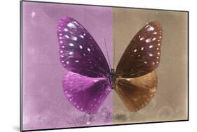 Miss Butterfly Euploea - Hot Pink & Caramel-Philippe Hugonnard-Mounted Photographic Print