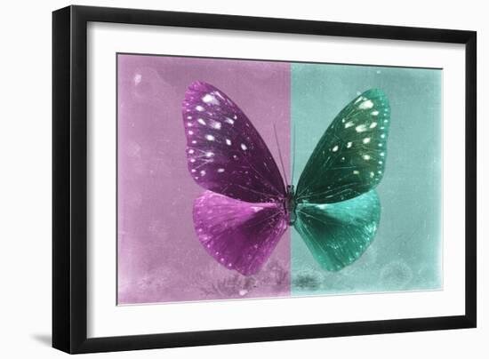 Miss Butterfly Euploea - Hot Pink & Coral Green-Philippe Hugonnard-Framed Photographic Print