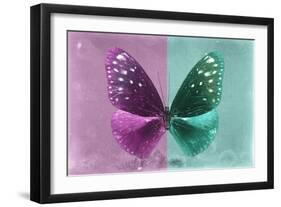 Miss Butterfly Euploea - Hot Pink & Coral Green-Philippe Hugonnard-Framed Photographic Print