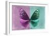 Miss Butterfly Euploea - Hot Pink & Coral Green-Philippe Hugonnard-Framed Photographic Print