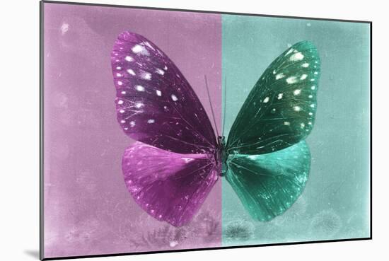 Miss Butterfly Euploea - Hot Pink & Coral Green-Philippe Hugonnard-Mounted Photographic Print